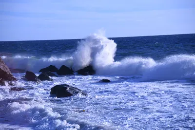 DSC_0592 (Large).JPG